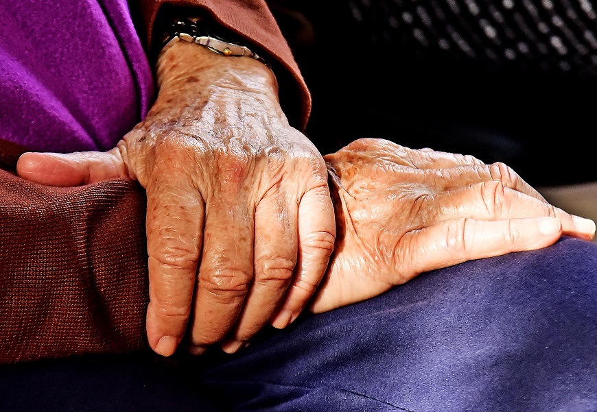 Pensión para Adultos Mayores: todo sobre la nueva&nbsp;ley